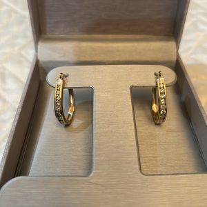 Diamond oval hoop earrings